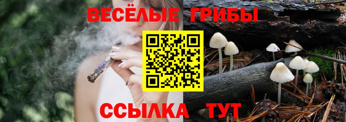 Псилоцибиновые грибы Psilocybine cubensis Ишим
